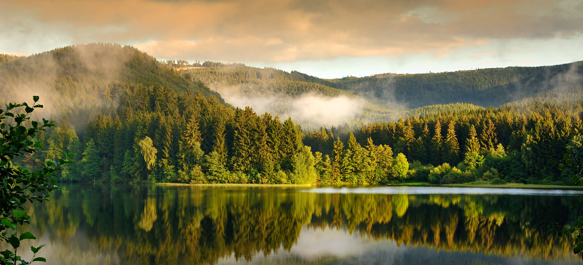 Wandern im Harz