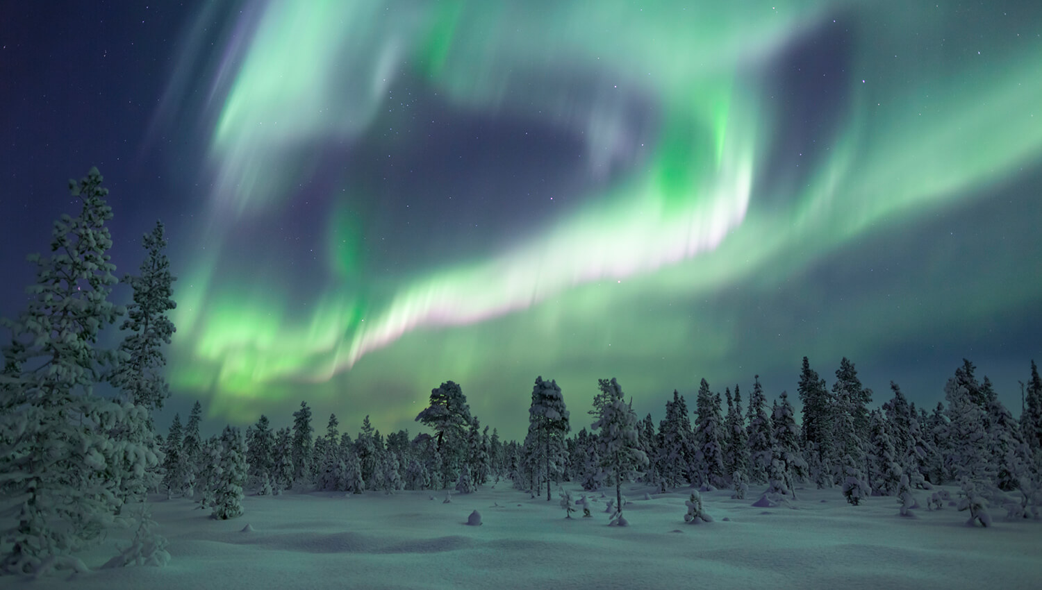 Polarlichter in Nordschweden