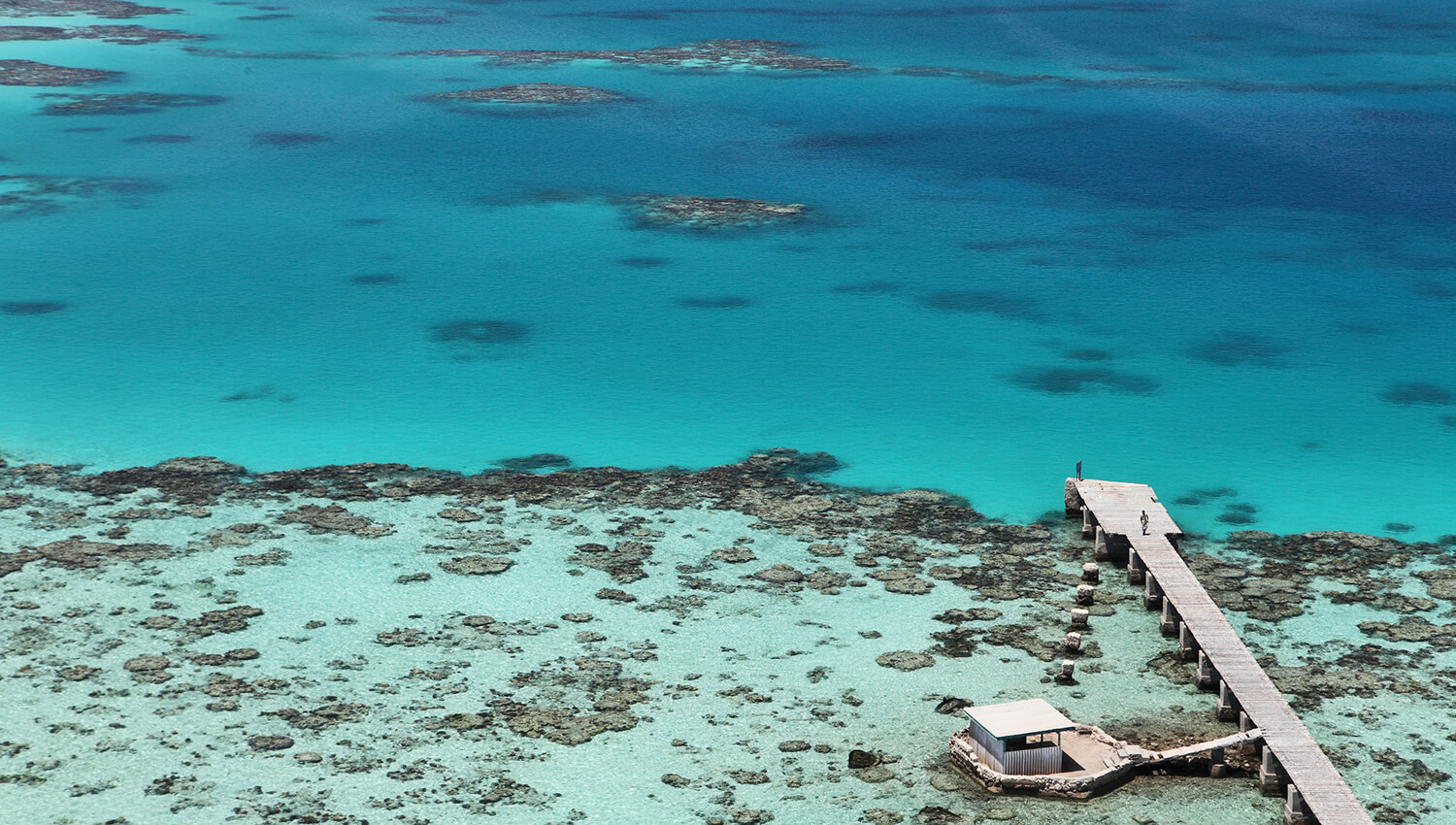 Die Korallenriffe im Meeres-Nationalpark Sanganeb-Atoll