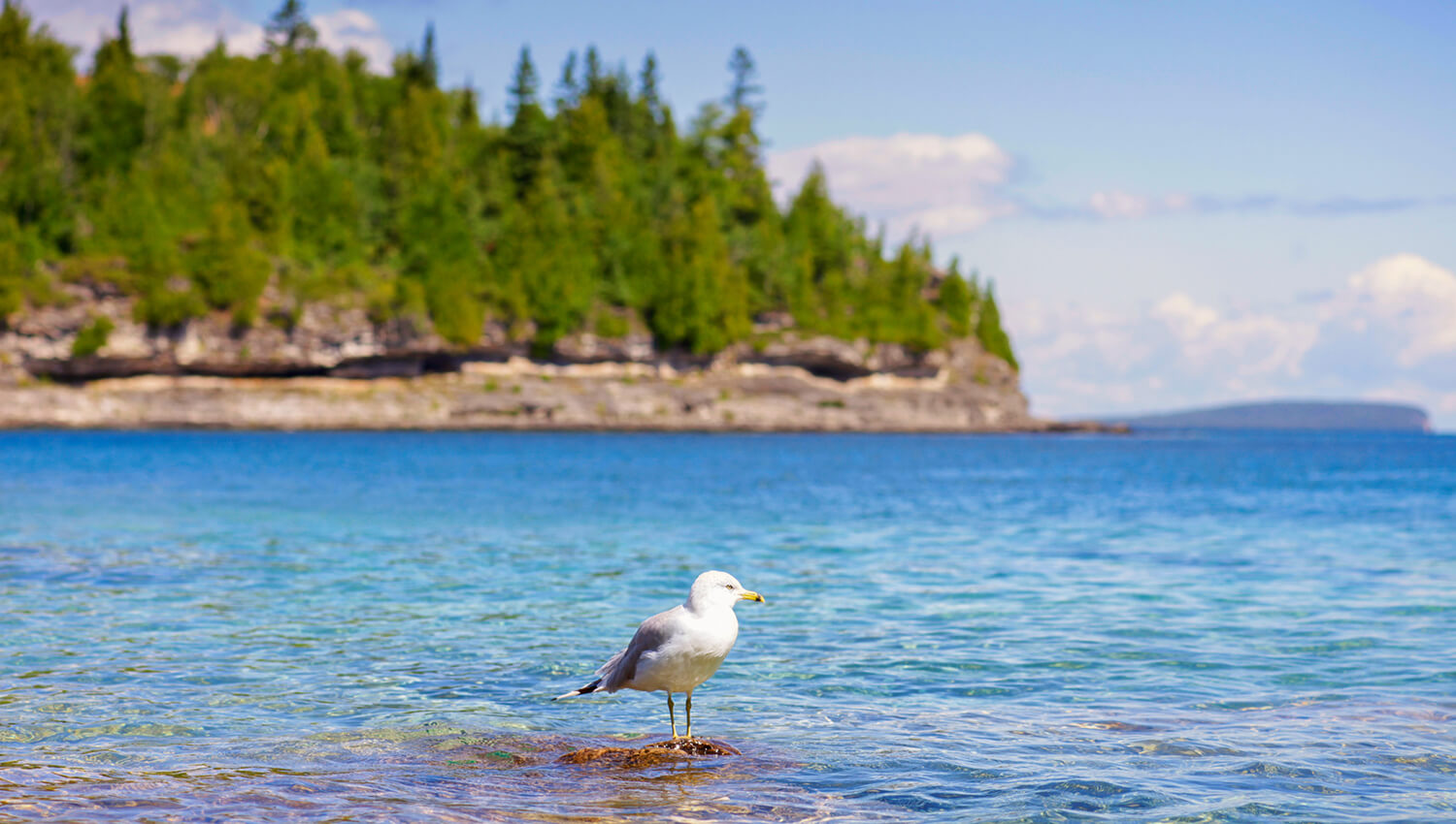 Der Bruce-Peninsula-Nationalpark erwartet Wanderer mit seinen dichten Wäldern, steilen Felsen und türkisfarbenem Wasser