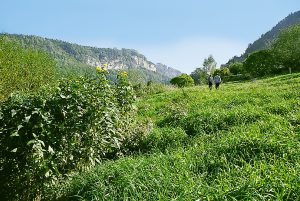 Entlang der Elbe