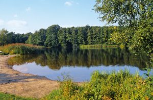 Blick über den Krummer See