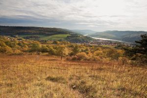 Blick übers Tal der Mosel