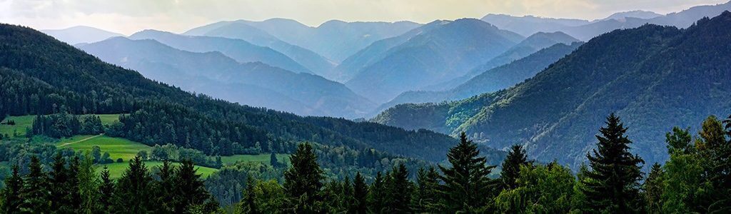 Wald in Deutschland bewaldete Hügel