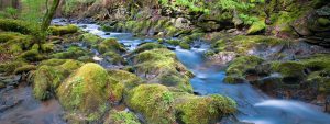 wandern in der Eifel entlang eines Baches