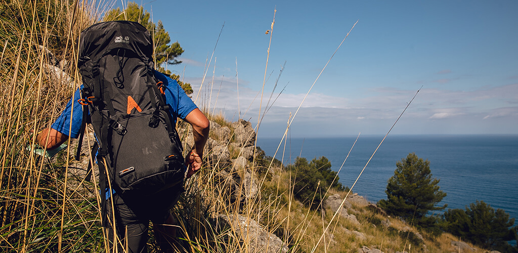 Schmugglerpfad Mallorca: Dißgras an der Nordküste