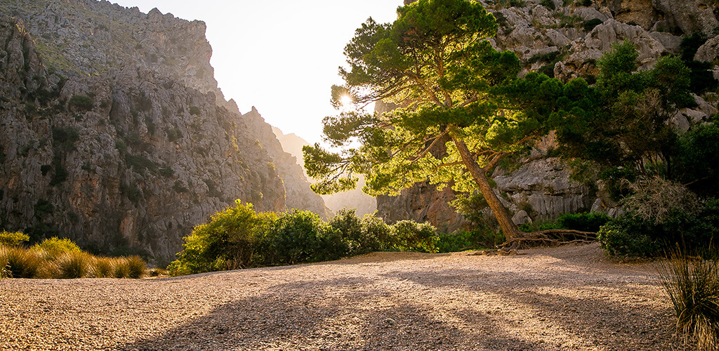 Sonnenaufgangsstimmung in der berühmten Schlucht Torrent de Pareis