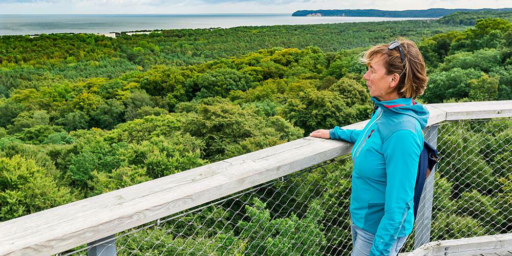 Blick vom Aussichtsturm im Naturerbe Prora auf Wälder und das Meer