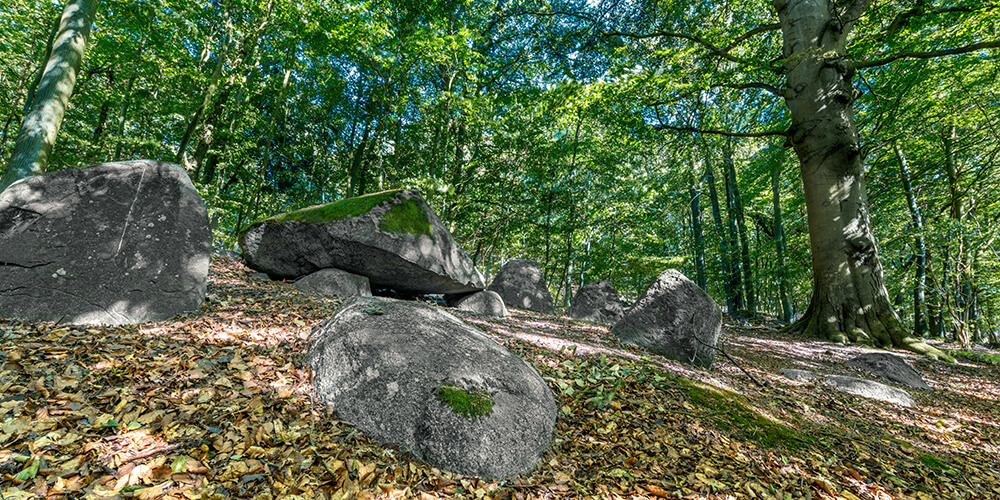 Laubwald mit großen Felsen