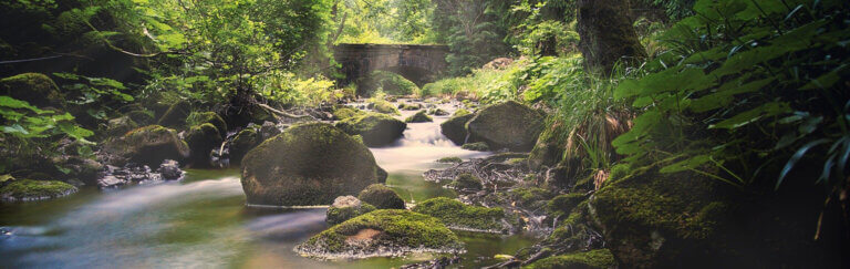 Mystische Lichtstimmung am Wasser im Bodetal, im Hintergrund kleine Brücke